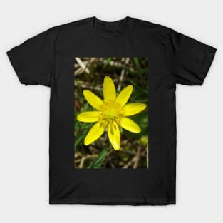 Lesser Celandine T-Shirt